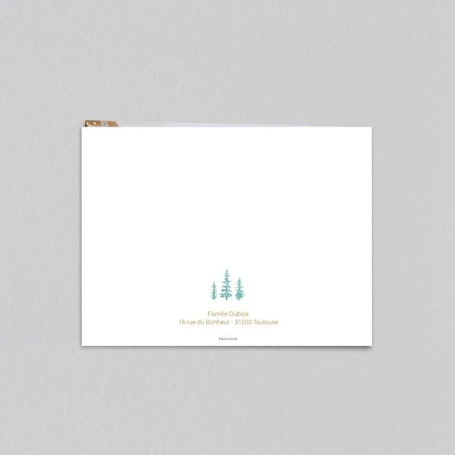 Hot Planet cards Carte De Noel Boule A Neige